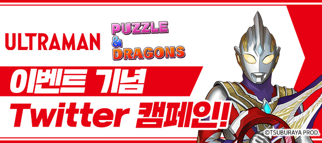 캠페인