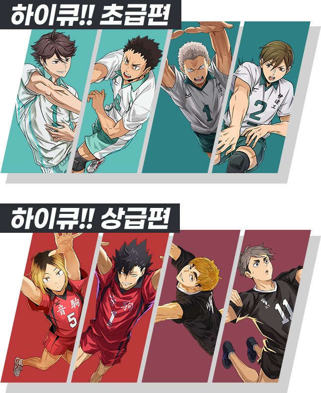 하이큐!! 초급편 / 상급편