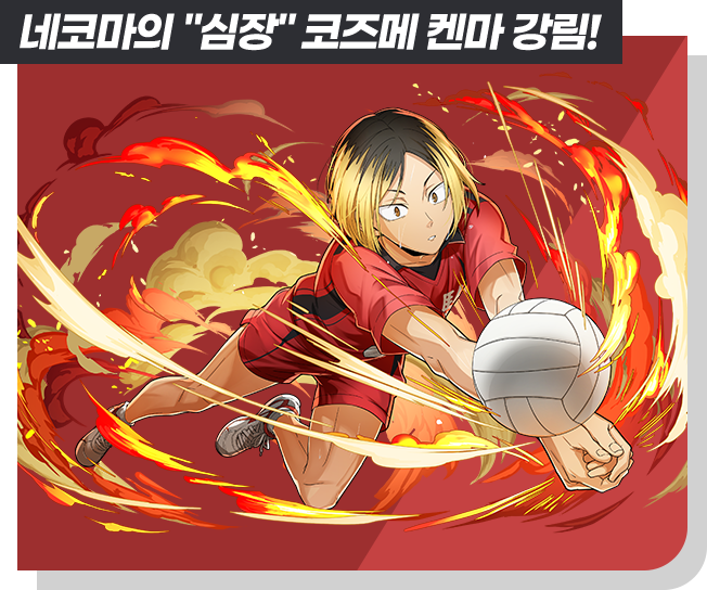 네코마의 “심장” 코즈메 켄마 강림!