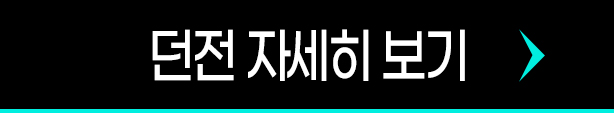 던전 자세히 보기