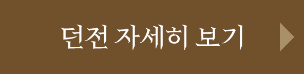 던전 자세히 보기