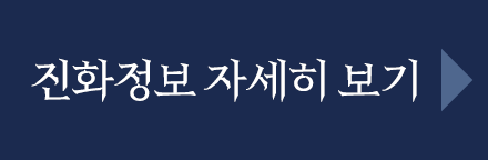 진화정보 자세히 보기