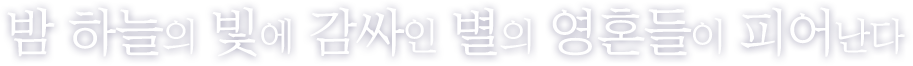 밤하늘의 빛에 감싸인 별의 영혼들이 피어난다